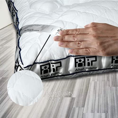 Ortho Certified Align Pillow